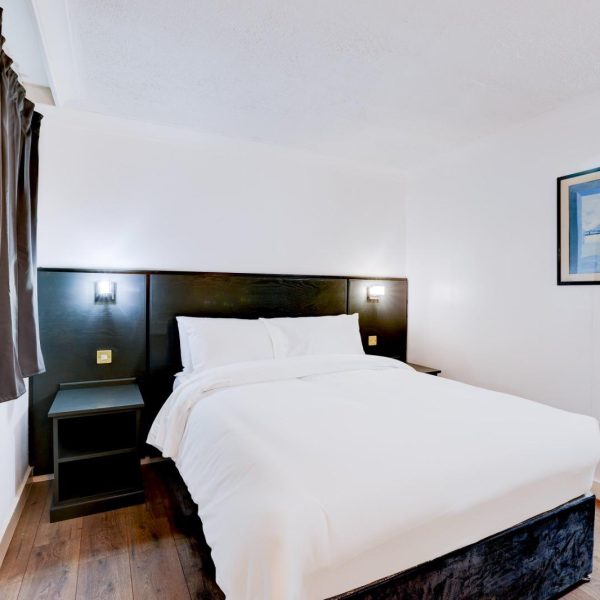 WhatsApp Image 2025-01-30 at 19.25.55_2db3f430