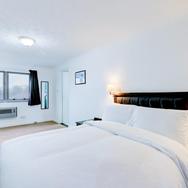 WhatsApp Image 2025-01-30 at 19.25.55_5b6d291d