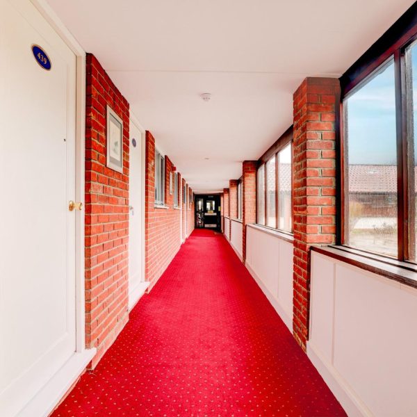 WhatsApp Image 2025-01-30 at 19.25.57_2e977e45